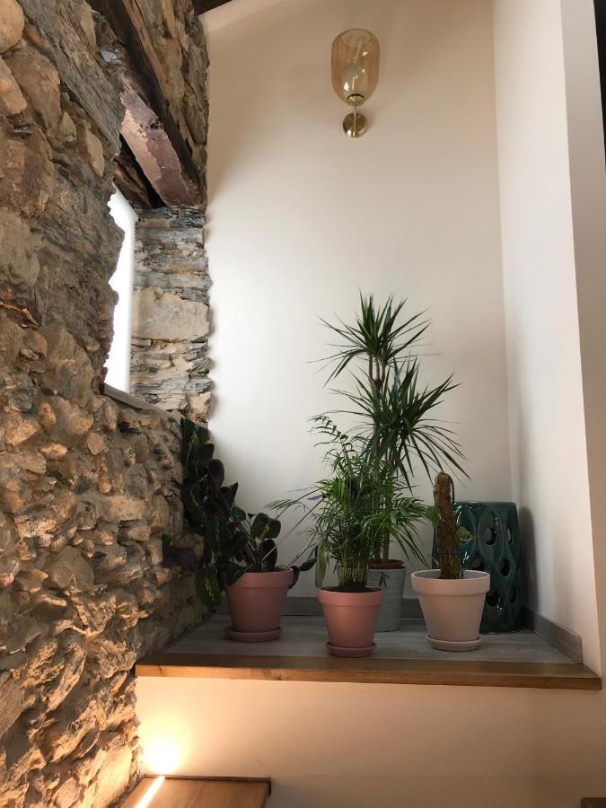Studio Rural Vilarinho  المظهر الخارجي الصورة